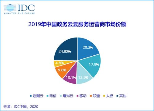2019年中國政務(wù)云服務(wù)運營商市場份額報告發(fā)布與市場營銷策劃服務(wù)分析
